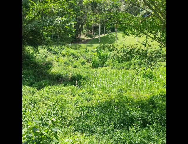 6,000M² VACANT LAND FOR SALE IN CLIFTON PARK